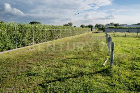 Palmira, Valle Del Cauca 00001, Kolumbia