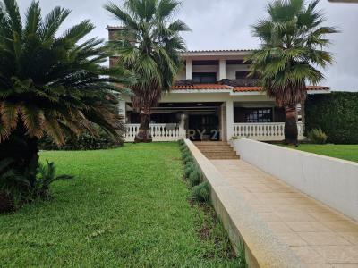 Paredes, بورتو 4585-641, البرتغال