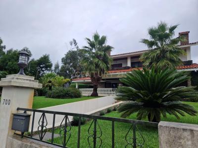 Paredes, بورتو 4585-641, البرتغال