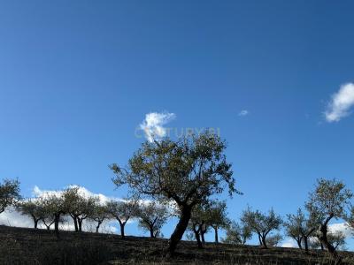 Almería, Andalucía 04692, Spain