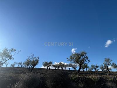 Almería, Andalucía 04692, Spain