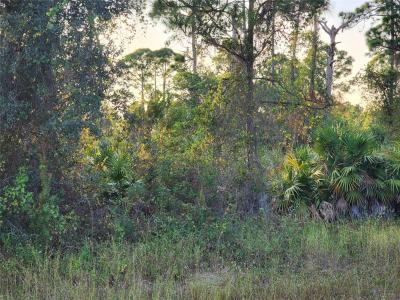 842 Genoa Ave, Lehigh Acres, Floride 33974, États-Unis