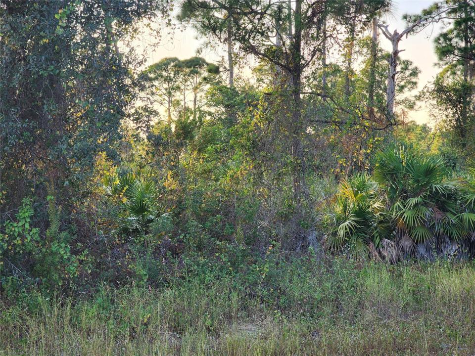 842 Genoa Ave, Lehigh Acres, Floride 33974, États-Unis