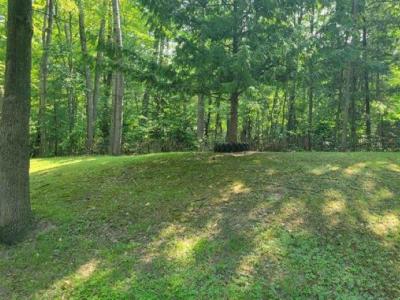 4233 Gilding, Beaverton, מישיגן 48612, ארצות הברית של אמריקה