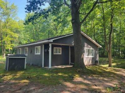 4233 Gilding, Beaverton, מישיגן 48612, ארצות הברית של אמריקה