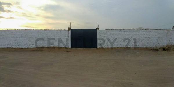 Sector Pago De Ñoco Toma El Sauce, Chincha Alta , Chincha, Ica 00001, Peru