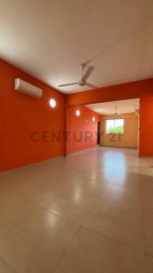 Cesar Bejarano , Ñemby, Central 00001, Paraguay