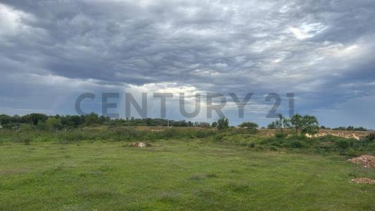 Sajonia, Asunción 00001, Paraguay