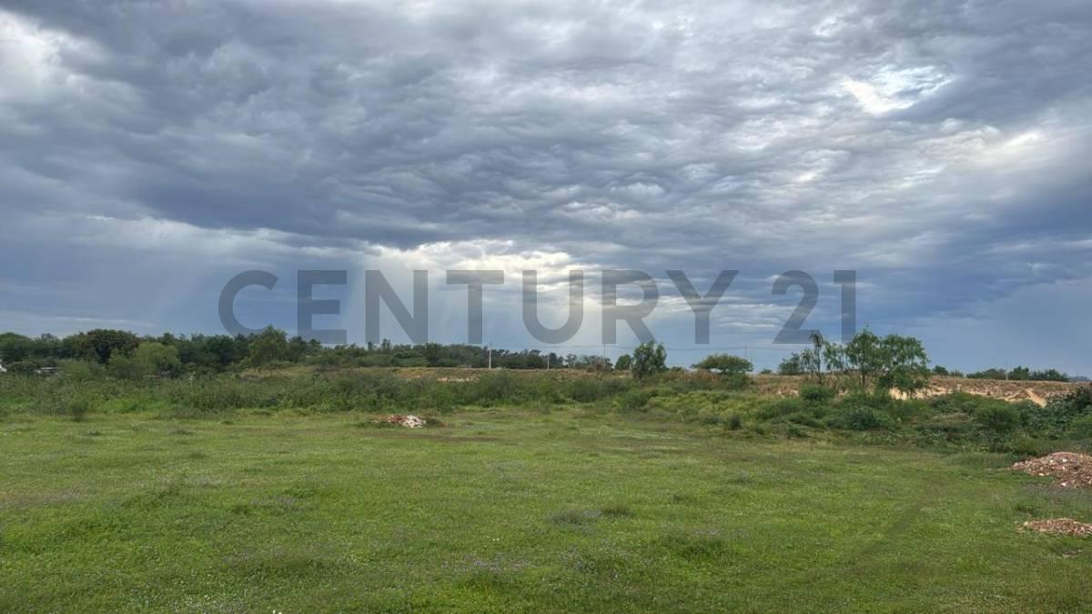 Sajonia, Asunción 00001, פרגוואי