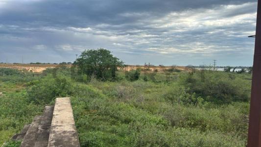 Sajonia, Asunción 00001, פרגוואי