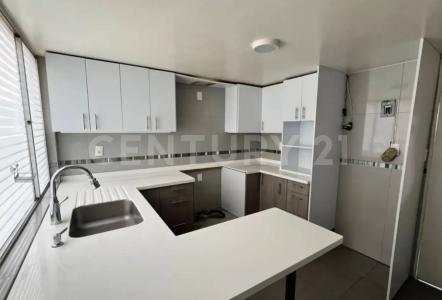 Avenida Cafetales #1809, Colonia Haciendas de Coyoacán, C.P. 04970 1809,, Coyoacán, Ciudad De México 04970, Messico