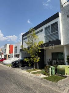 De las Rosas 240,, Zapopan, 할리 스코 45115, 멕시코