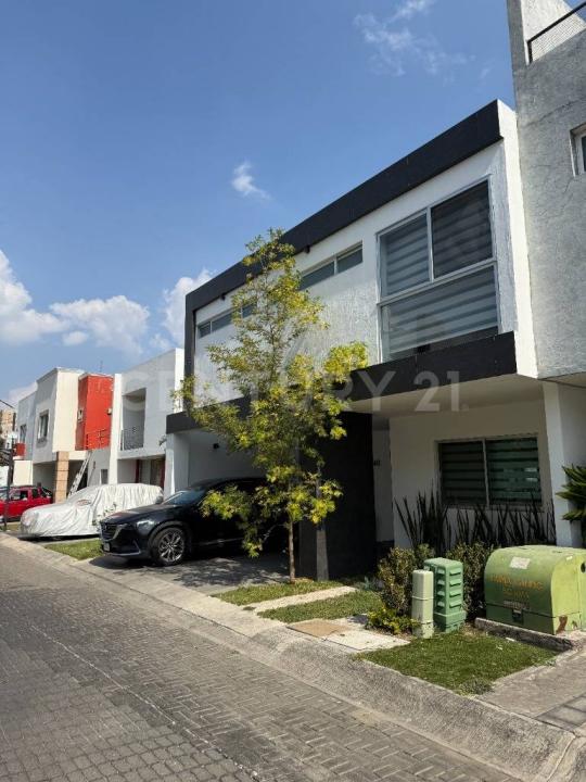 De las Rosas 240,, Zapopan, 할리 스코 45115, 멕시코