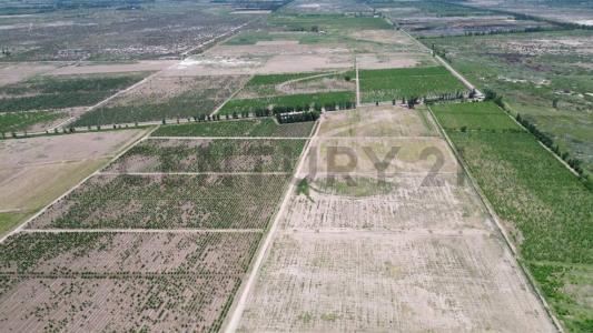 Lavalle, Mendoza 5543, Argentyna