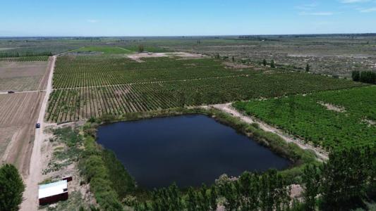 Lavalle, Mendoza 5543, Argentyna
