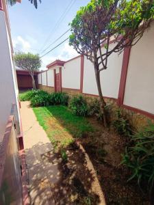 calle 5 y Barulio Vera , Irpavi, La Paz 00001, 玻利维亚