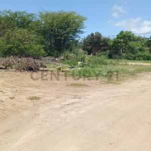 Pampatar, Nueva Esparta 6316, ベネズエラ