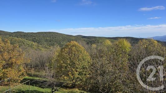 Taillet, Languedoc-Roussillon 66400, Francia