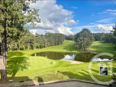 Neufchatel Hardelot, 北部-加来海峡 62152, 法国