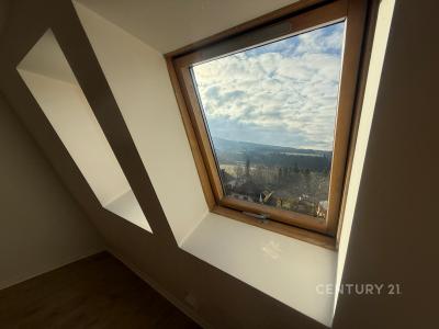 Herejkova, Starý Plzenec, Plzeň-město 33202, 捷克共和國