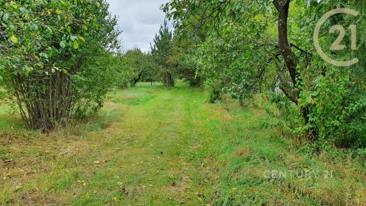 Hodonín, Hodonín 100 00, 捷克共和国