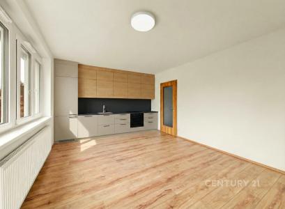 Vysoká, Liberec, Liberec 46007, République Tchèque