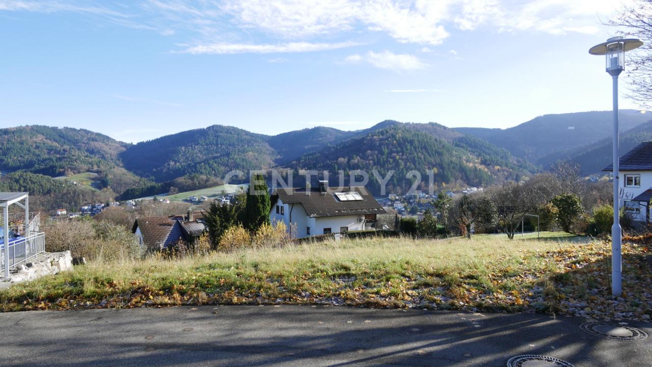 Bühlertal, Baden-Württemberg 77830, Đức