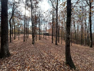 1333 County Lane, Millport, Alabama 35576