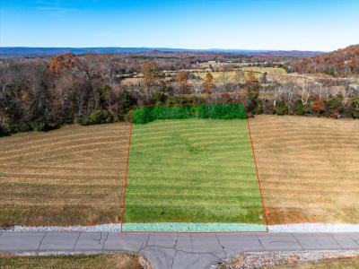 Lot 65 The Gates Drive, Decatur, Tennessee 37322, USA