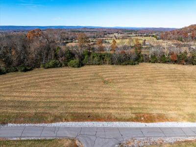 Lot 65 The Gates Drive, Decatur, Tennessee 37322, USA