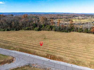 Lot 65 The Gates Drive, Decatur, Tennessee 37322, USA