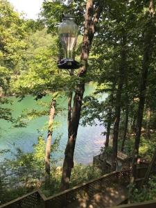 3109 CR 148, Eureka Springs, Arkansas 72632, USA