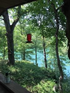 3109 CR 148, Eureka Springs, Arkansas 72632, Stati Uniti