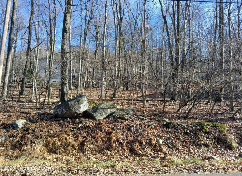 251 Bear Run Drive, Drums, Pensilvania 18222, Estados Unidos