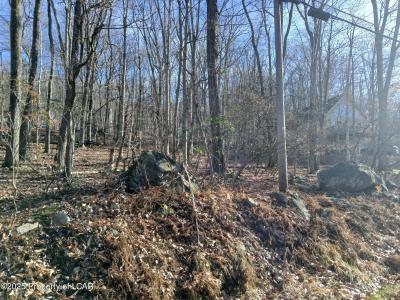 251 Bear Run Drive, Drums, Pensilvania 18222, Estados Unidos