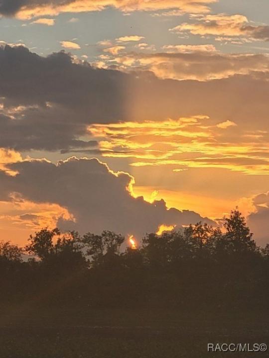 Octavia Lane, Webster, Floryda 33597, USA