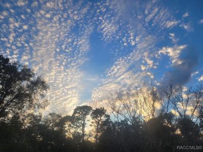 Octavia Lane, Webster, Floryda 33597, USA