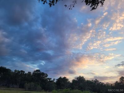 Octavia Lane, Webster, Floryda 33597, USA