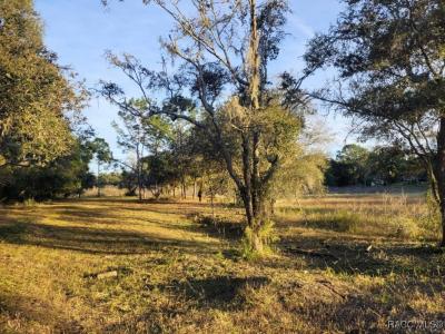 Octavia Lane, Webster, Floryda 33597, USA