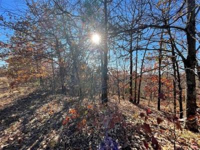 S 4507 Road, Vian, Oklahoma 74962, USA