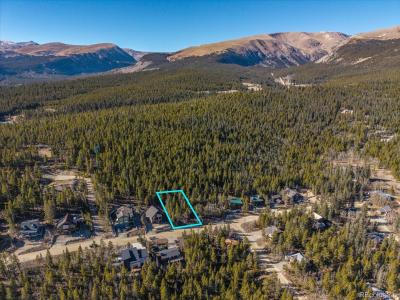 421 N Aspen Street, Alma, Colorado 80420, USA