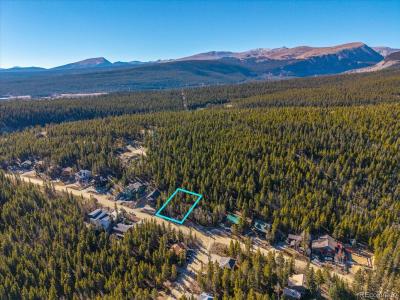 421 N Aspen Street, Alma, Colorado 80420, USA