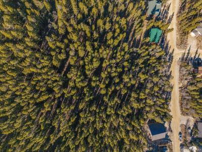 421 N Aspen Street, Alma, Colorado 80420, USA