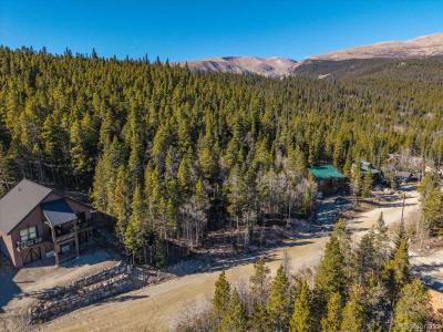 421 N Aspen Street, Alma, Colorado 80420, USA