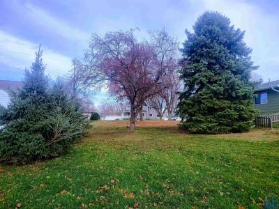 TBD 9th St SW, LeMars, Айова 51031, Соединенные Штаты