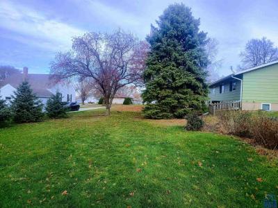 TBD 9th St SW, LeMars, Айова 51031, Соединенные Штаты