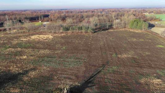 61776 Indian Trail, Ray, מישיגן 48096, ארצות הברית של אמריקה