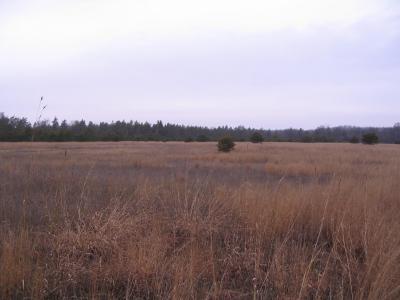 Parcel 13 N M-18, Roscommon, Michigan 48653, Estados Unidos