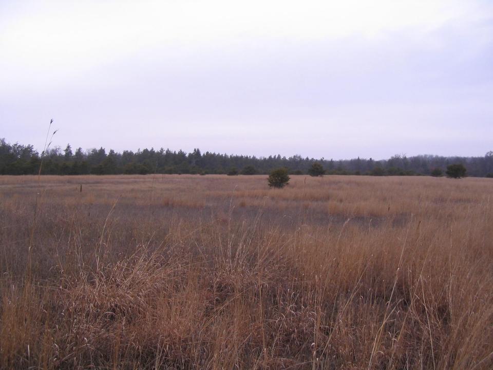 Parcel 13 N M-18, Roscommon, Michigan 48653, Estados Unidos