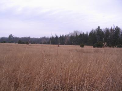 Parcel 14 N M-18, Roscommon, Michigan 48653, Estados Unidos